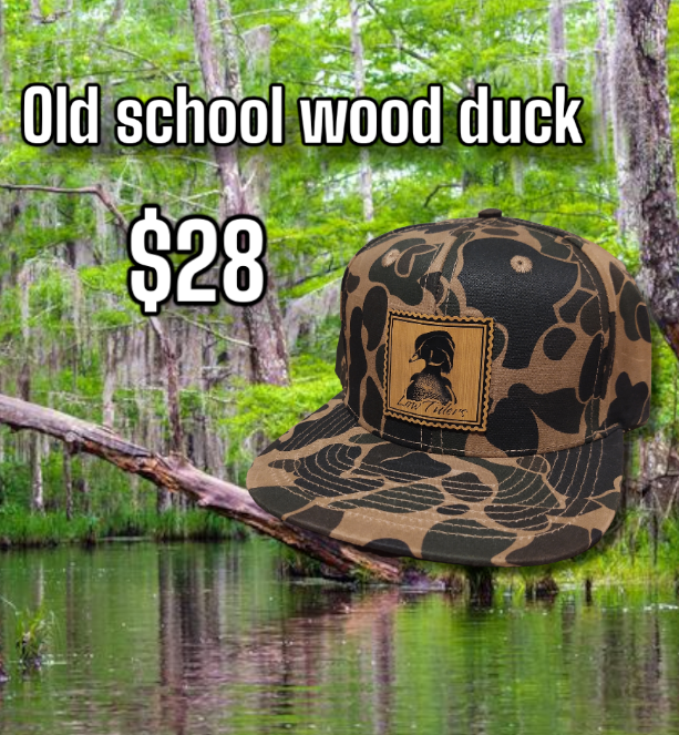 Old school wood duck